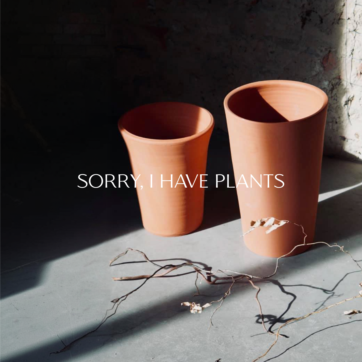 Emblem design for Madame FC depicting an M monogram in a circle with the words "Madame FC EST. 2003" inside on top of a background image of a soccer stadium.